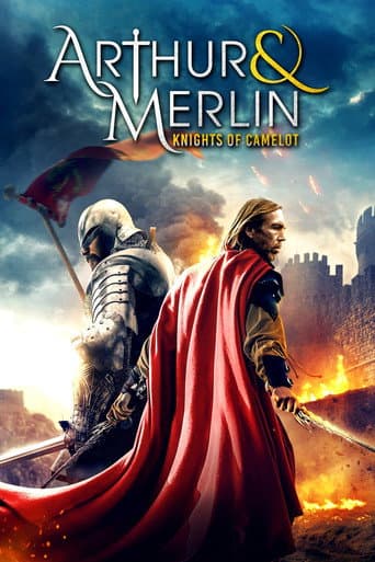 Arthur & Merlin: Knights of Camelot poster
