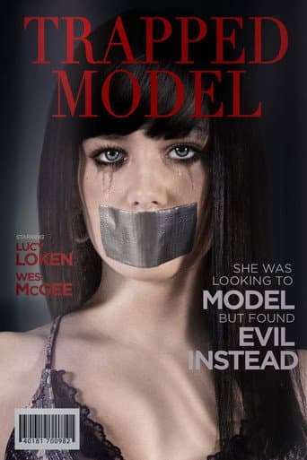 A Model Kidnapping poster