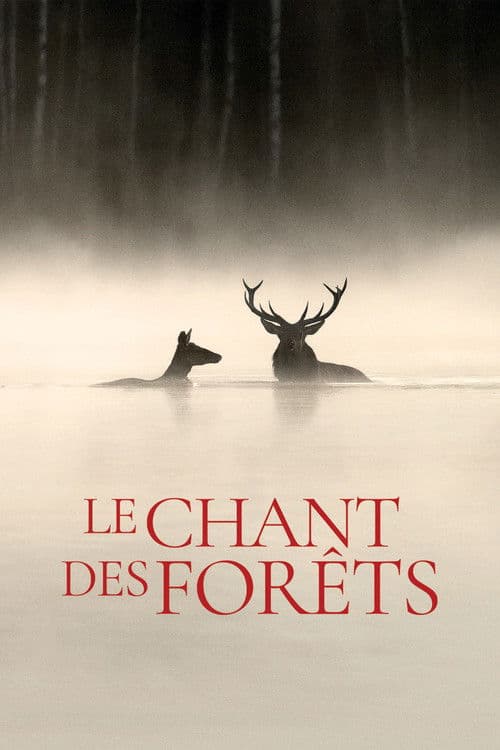 Whispers in the Woods poster