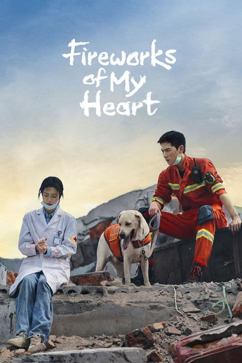 Fireworks of My Heart poster