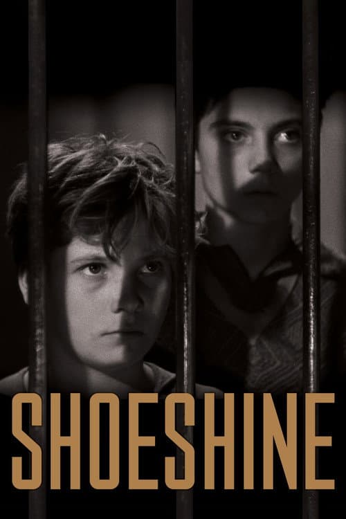 Shoeshine poster