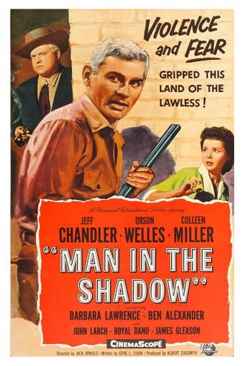Man in the Shadow poster