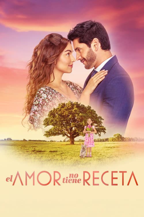 El amor no tiene receta poster