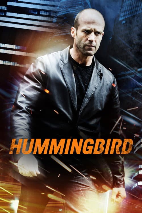 Hummingbird poster