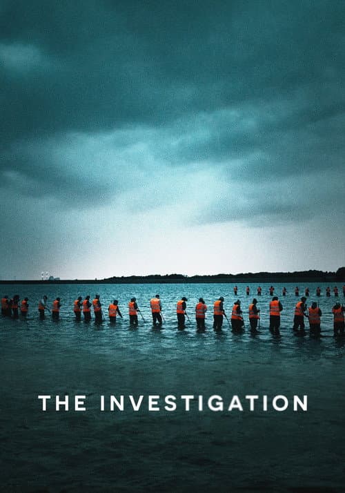 The Investigation poster