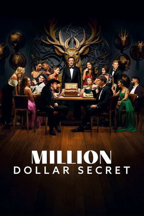Million Dollar Secret poster